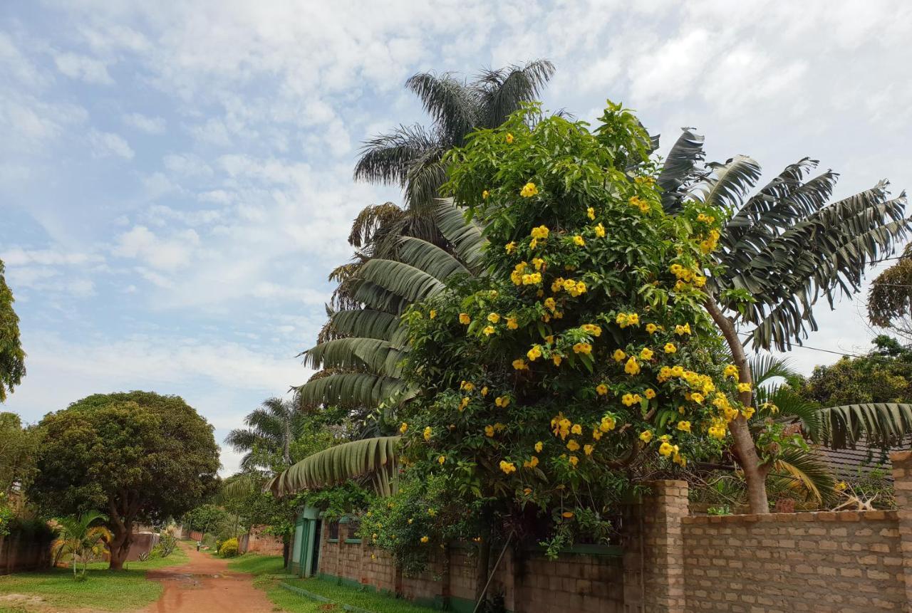 Anna'S Place Entebbe Bed and Breakfast Eksteriør billede